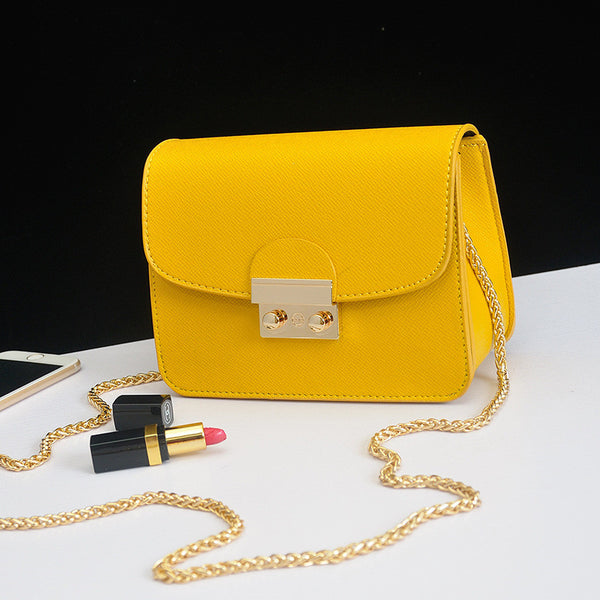 Mini Crossbody Chain Purses