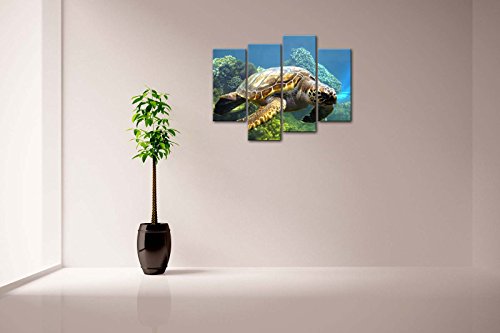 Swimming Turtle Wall Art Canvas Print