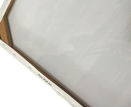 Swimming Turtle Wall Art Canvas Print