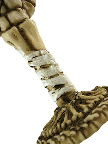Skeletal Wine Goblet Bones 8 inch