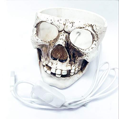 3D USB Himalayan Salt Skull Lamp