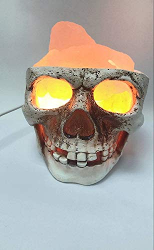 3D USB Himalayan Salt Skull Lamp