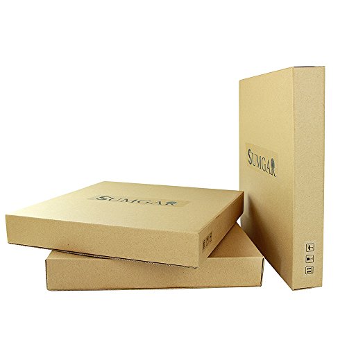 Sea Turtle Wall Decor 16x24