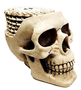 SKULL DRINK COASTER SET WITH 6 SKELETON COASTERS