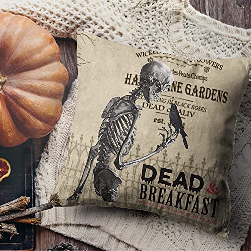 Vintage Skull Throw Pillow Covers 18x18 Inch Set of 4