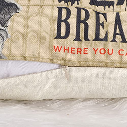 Vintage Skull Throw Pillow Covers 18x18 Inch Set of 4