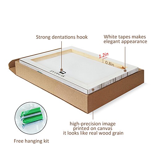 Sea Turtle Wall Decor 16x24