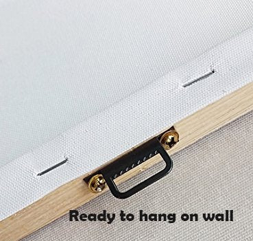 Swimming Turtle Wall Art Canvas Print