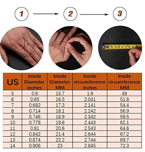 Titanium Steel Skull Heads Ring