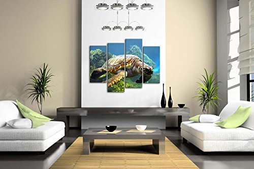 Swimming Turtle Wall Art Canvas Print