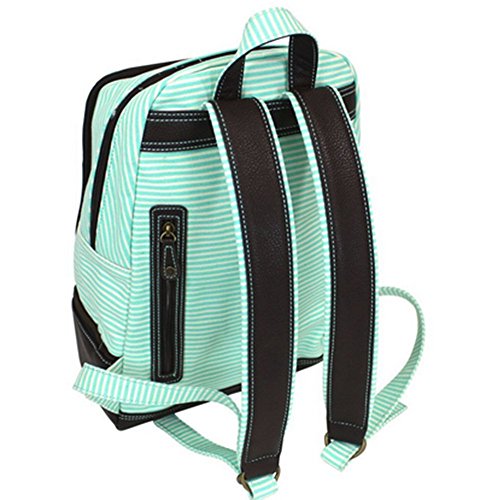Sea Turtle Style Striped Backpack