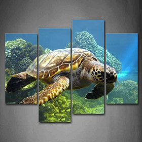 Swimming Turtle Wall Art Canvas Print