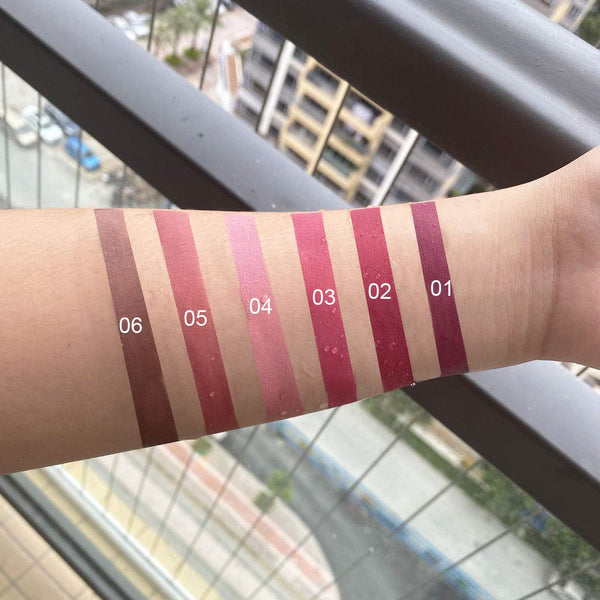 6Pcs Set Skull Matte Long Lasting Waterproof Liquid Lipstick