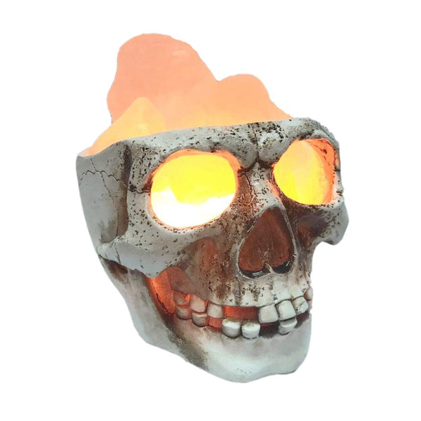 3D USB Himalayan Salt Skull Lamp