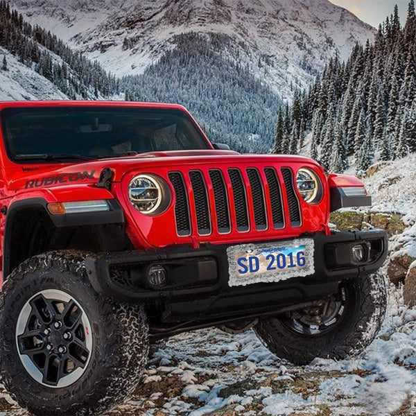 Skull License Plate Frame Holder, 6×12 Inches