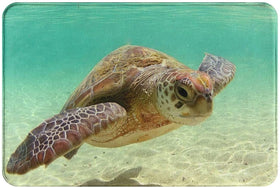 Sea Turtle Anti-Slip Doormat 23.6 x 15.7 inch