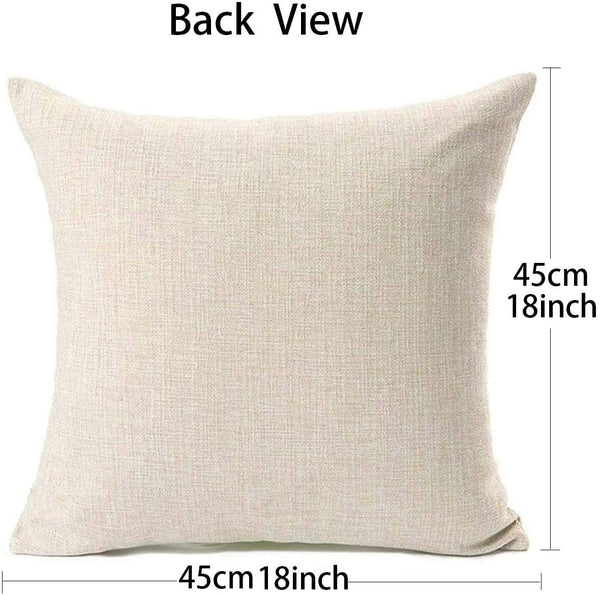 Set of 2 Decorative Sea Turtle Sea Horse Throw Pillow Covers 18x18 Inch