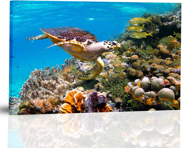 Sea Turtle Blue Ocean Wall Art 12x16 Framed