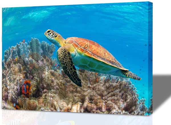Sea Turtle Blue Ocean Wall Art 12x16 Framed