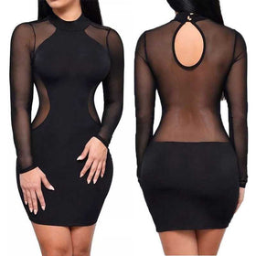 Gothic See Through O Neck Long Sleeve Mini Dress