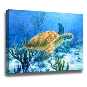 Sea Turtle Wall Decor Framed Canvas Print - Size:12"x16"inch